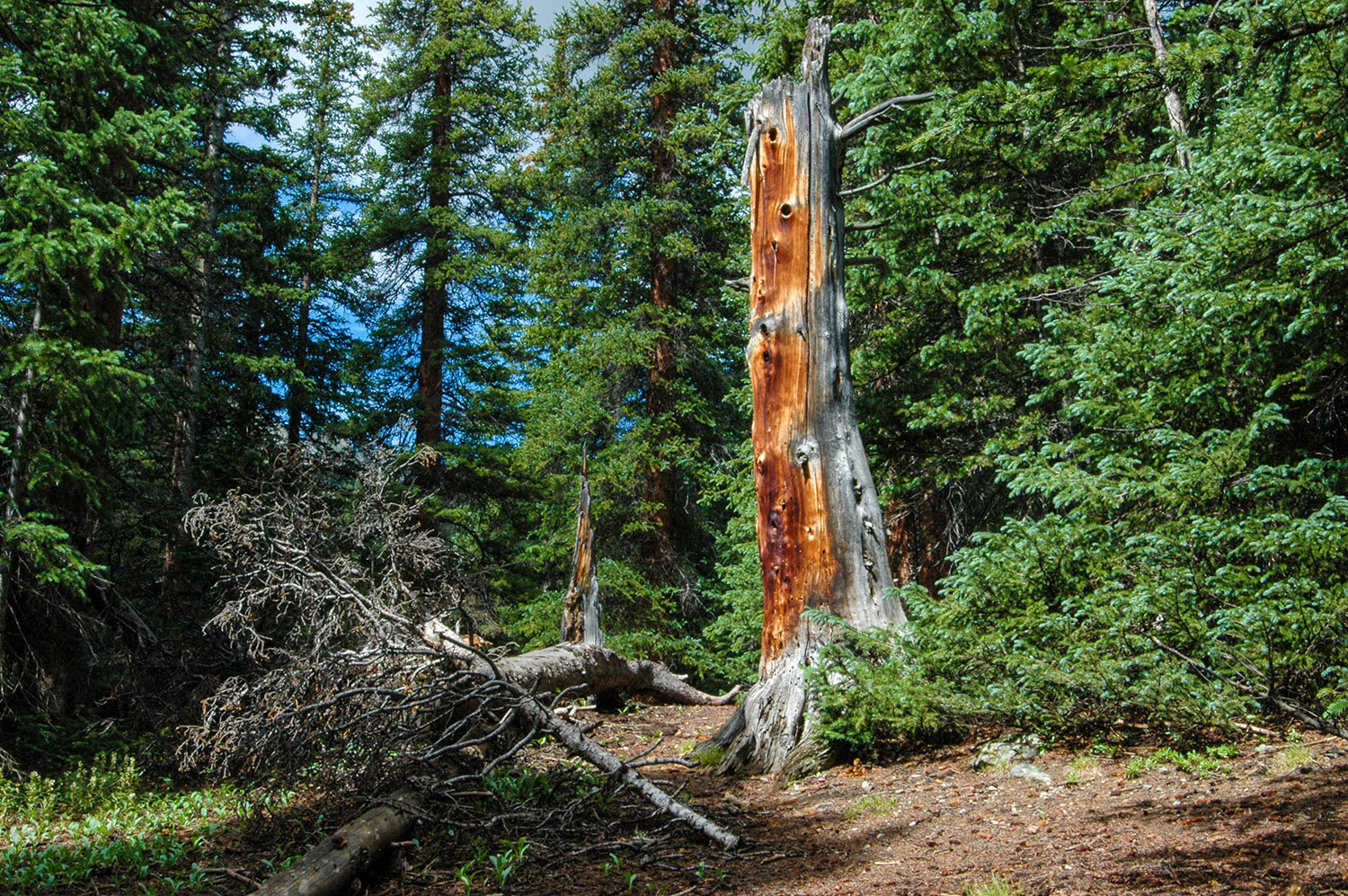 Snow Spruce Condos for sale in Breckenridge Colorado
