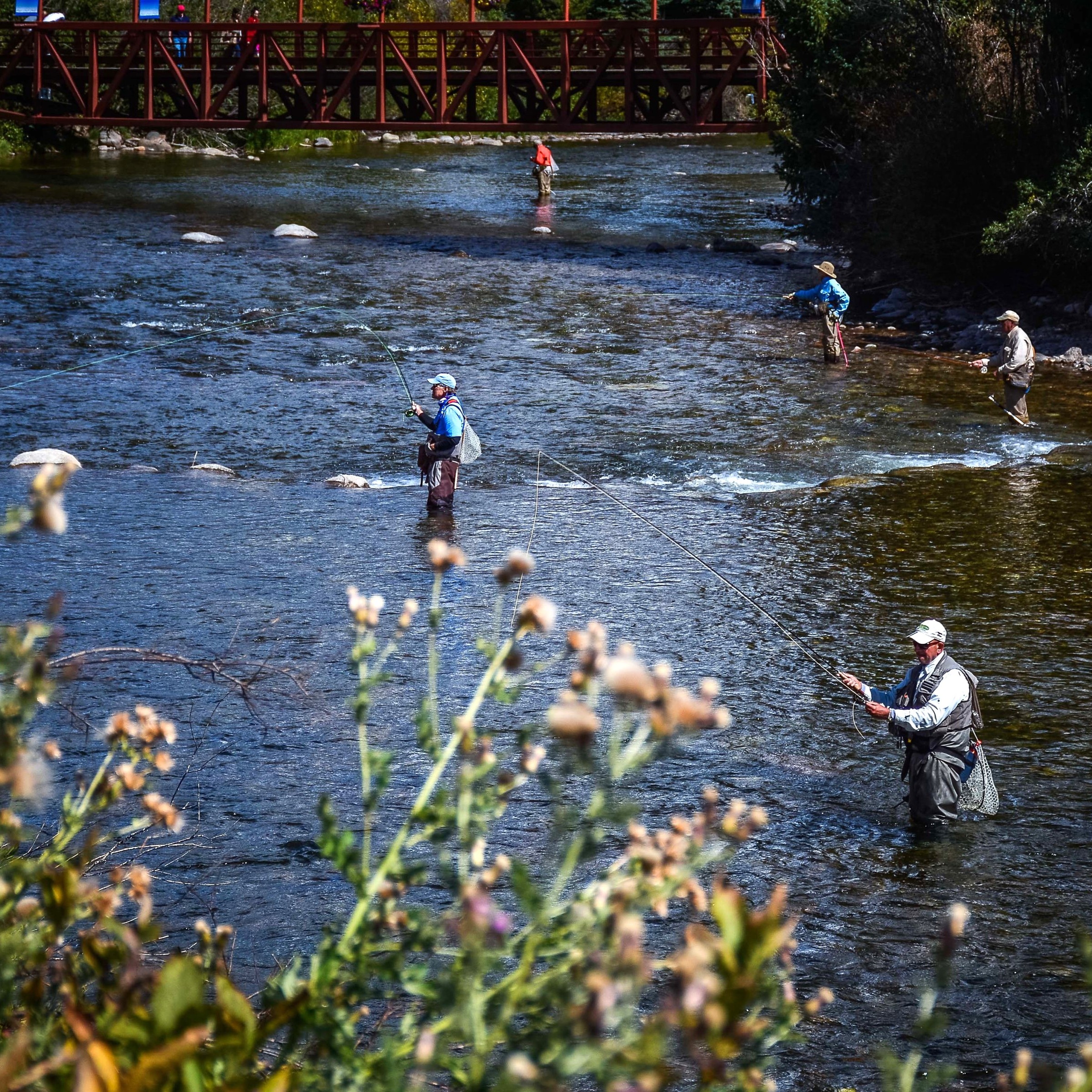Fall Fly Fishing on the Blue River in Summit County, CO