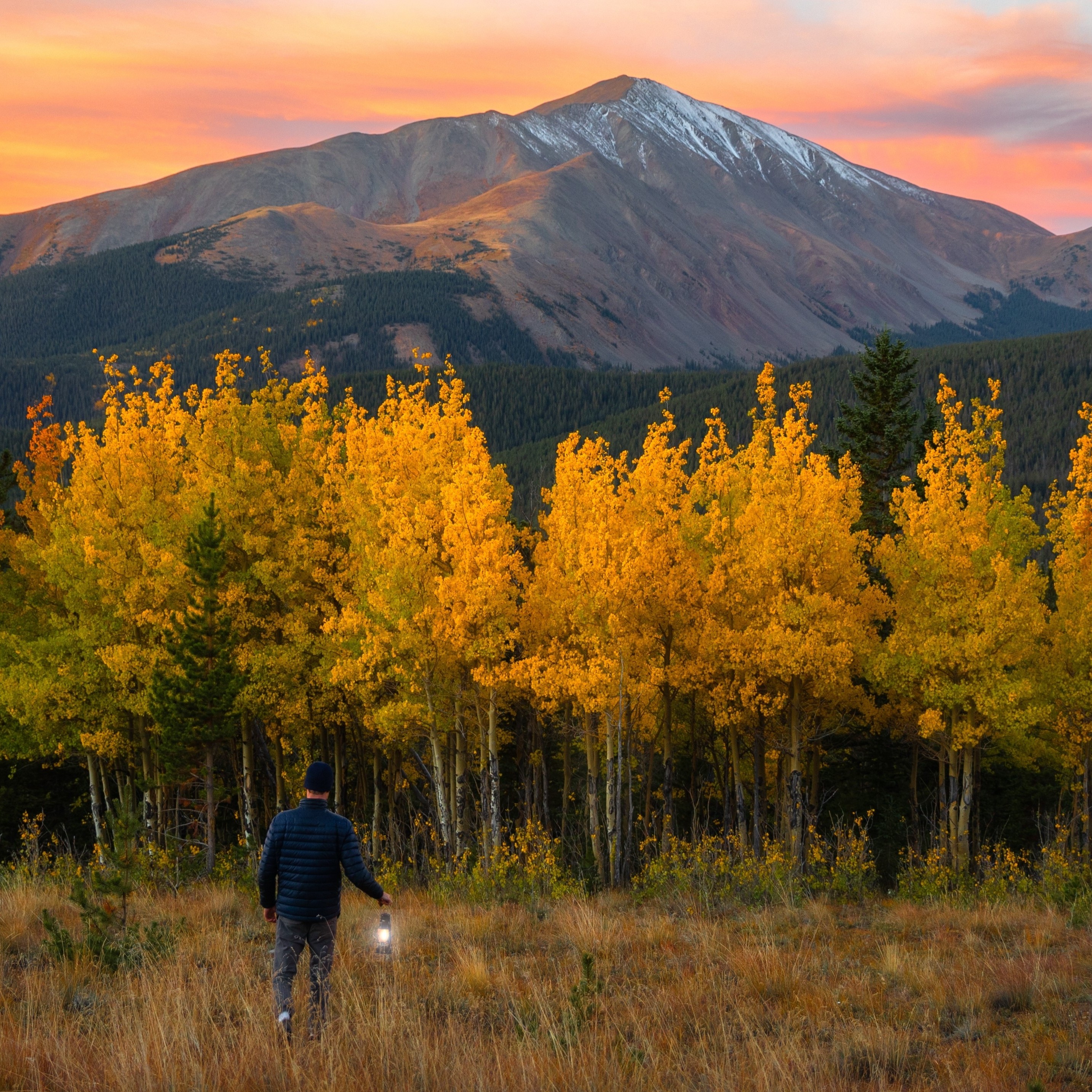 Where to Go Leaf Peeping in Breck & Summit County, CO