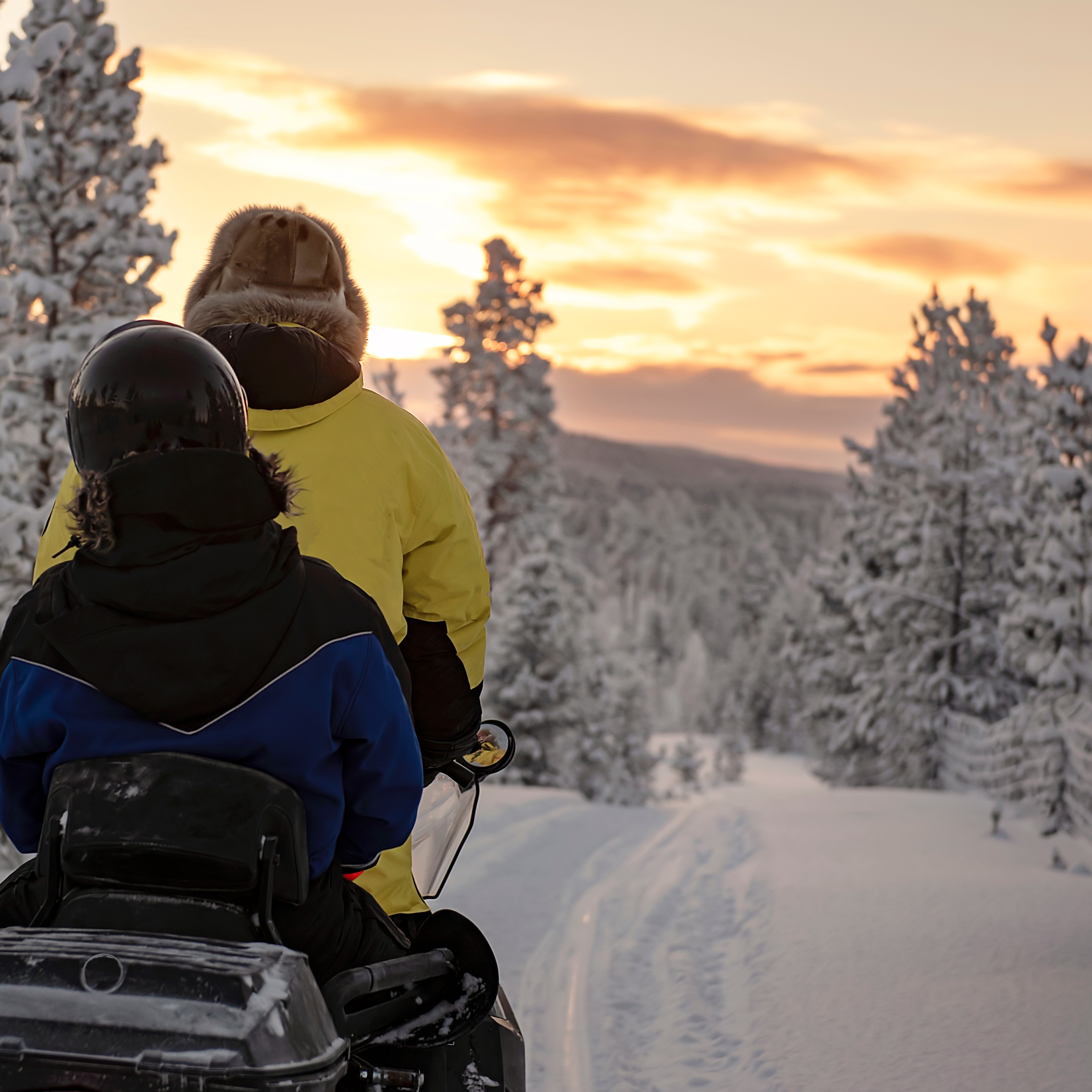 Guided Snowmobile Tours in Breckenridge, Colorado