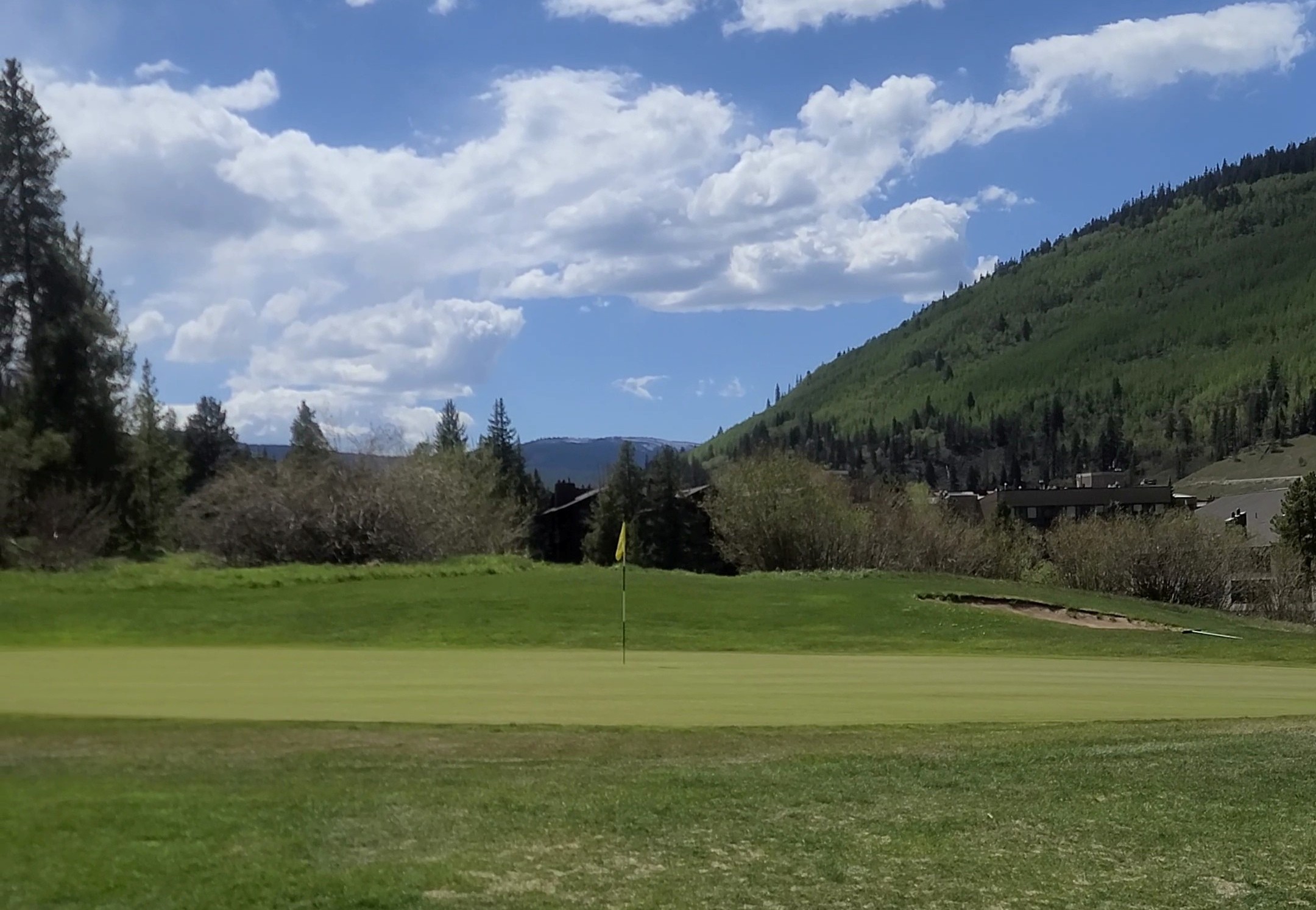 Real Estate Trends & Buyer Demand Info for Summit County, CO