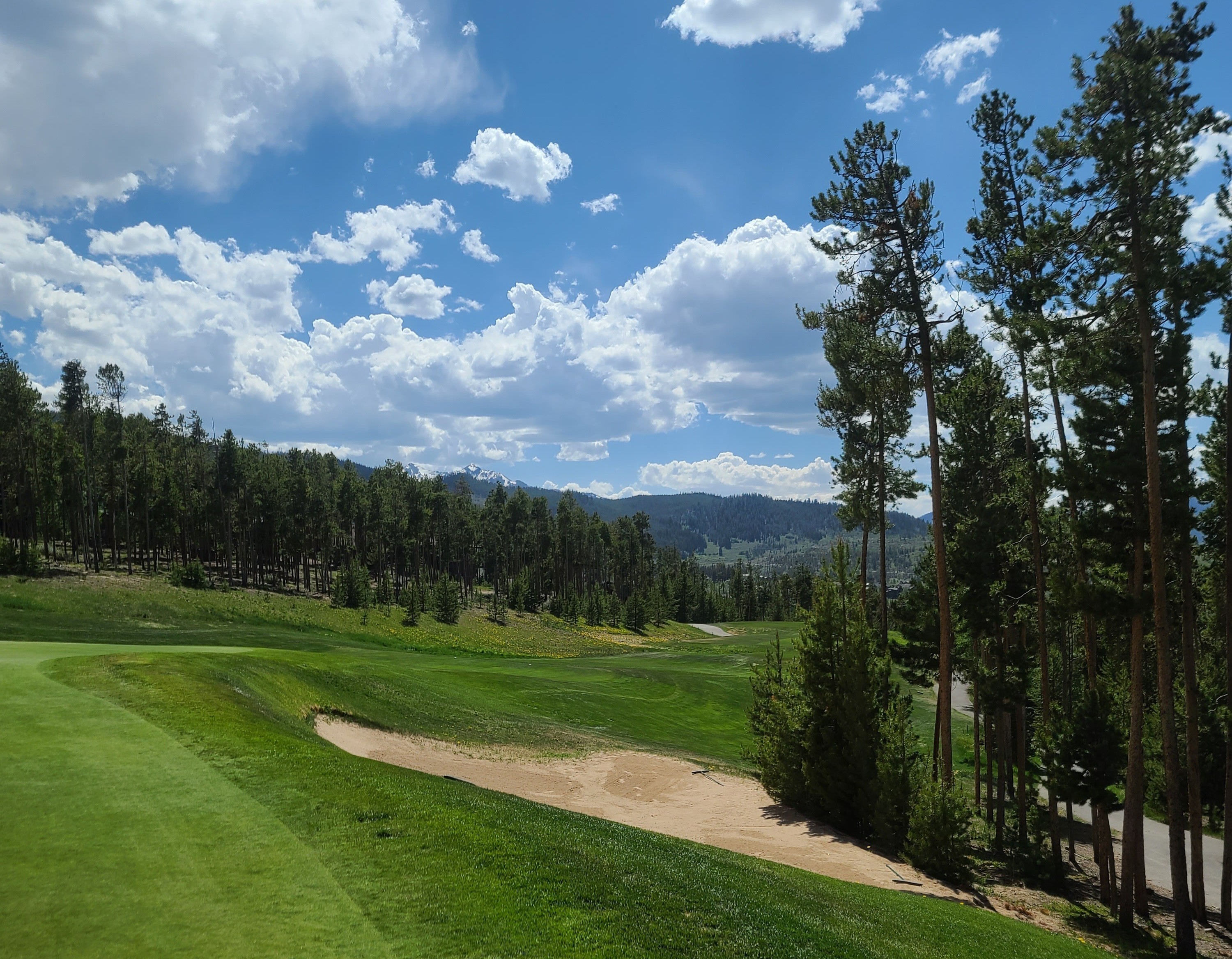 Real Estate Trends & Buyer Demand Info for Summit County, CO