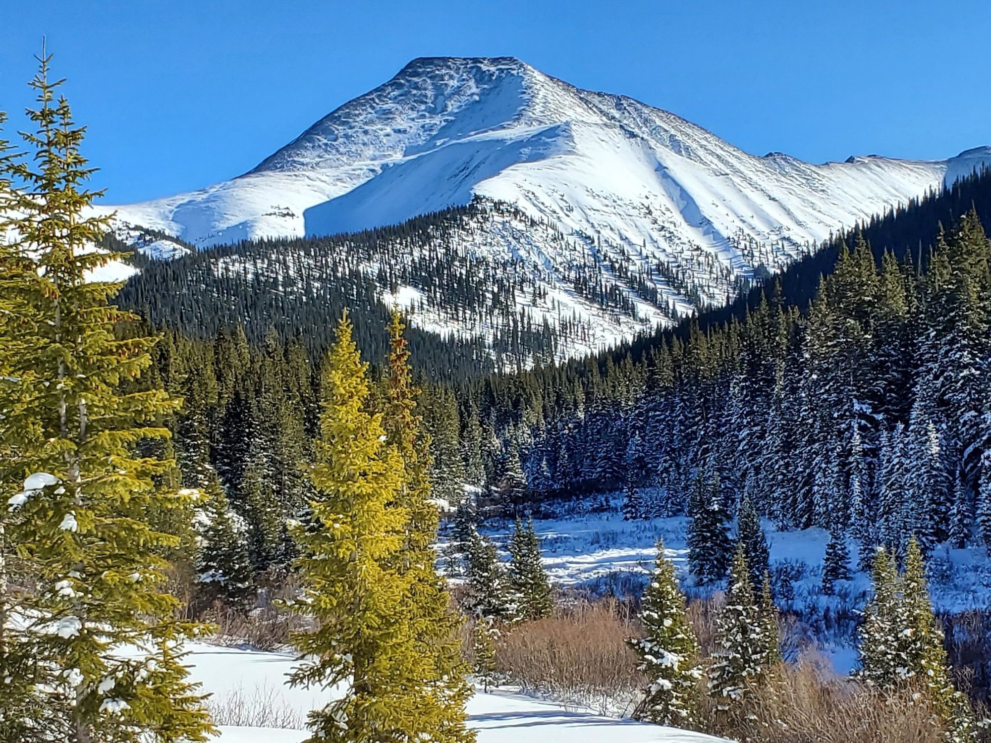 Best Winter Trails Near Breckenridge: Little French Gulch Trail