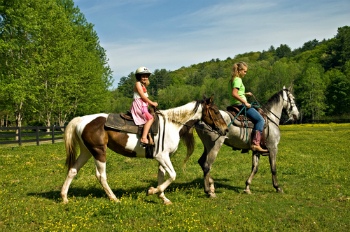 horseback riding summit estates breckenridge